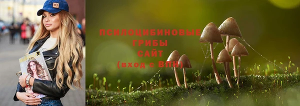 шишки Белоозёрский