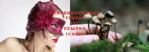 кокаин колумбия Белокуриха