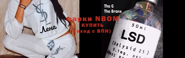 шишки Белоозёрский