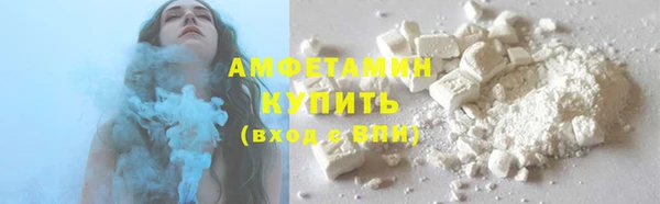 шишки Белоозёрский