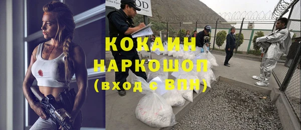 шишки Белоозёрский