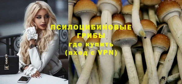 винт Ельня