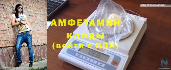 шишки Белоозёрский