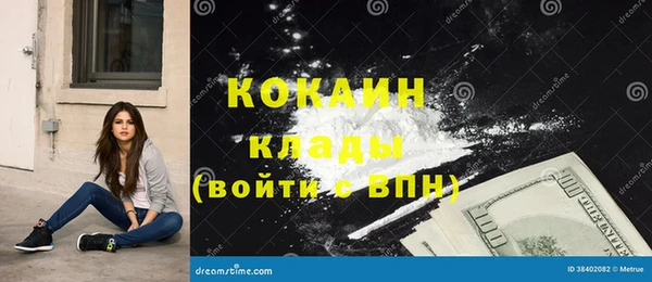 шишки Белоозёрский