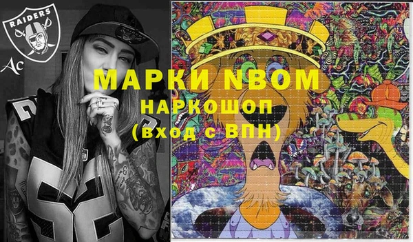 шишки Белоозёрский